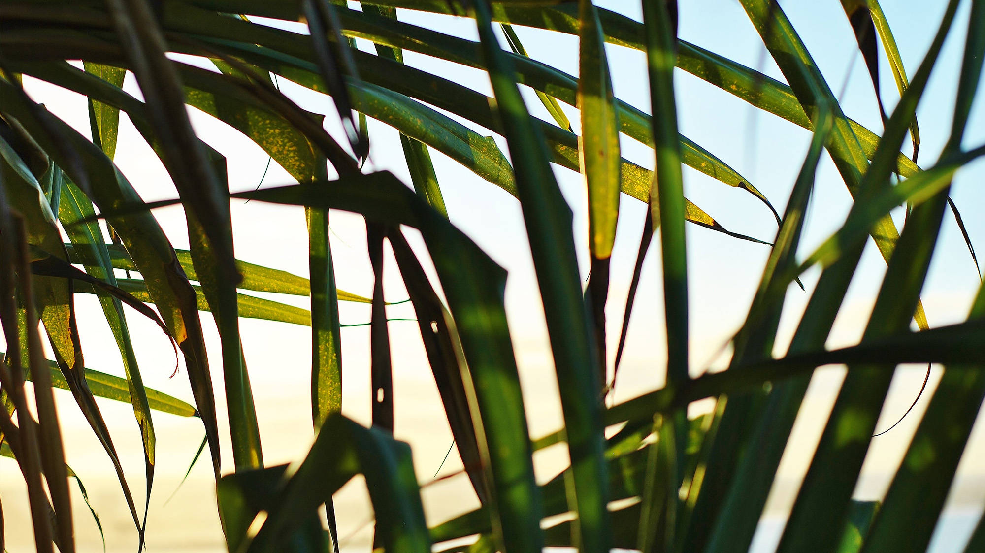 residence hero images