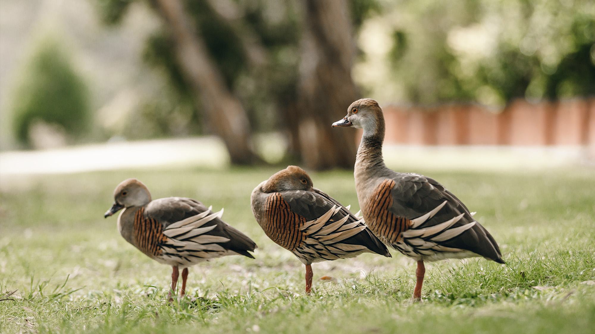 residence hero images