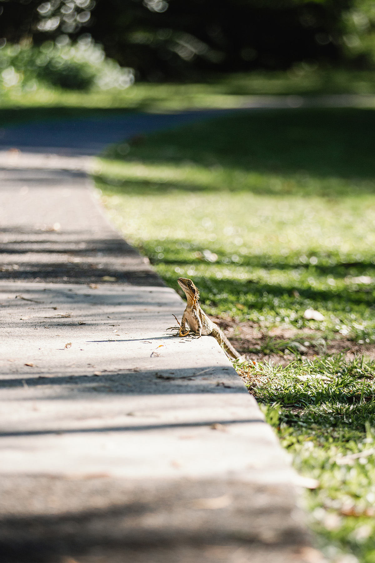 residence hero images